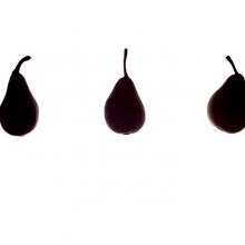 STILL LIFE PHOTOGRAPHY