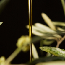 SCOLLO OLIO BIOLOGICO MODICEO MODICA 