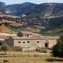 SCOLLO OLIO BIOLOGICO MODICEO MODICA  CAMPAGNA