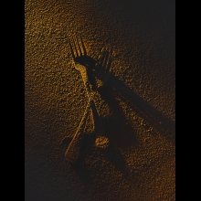STILL LIFE PHOTOGRAPHY