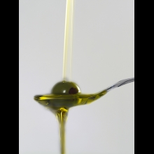 STILL LIFE PHOTOGRAPHY OLIO